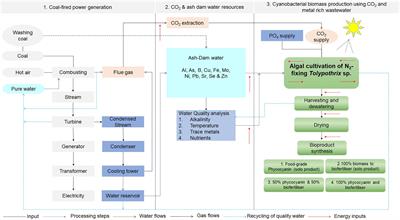 Bioproduct Potential of Outdoor Cultures of Tolypothrix sp.: Effect of Carbon Dioxide and Metal-Rich Wastewater